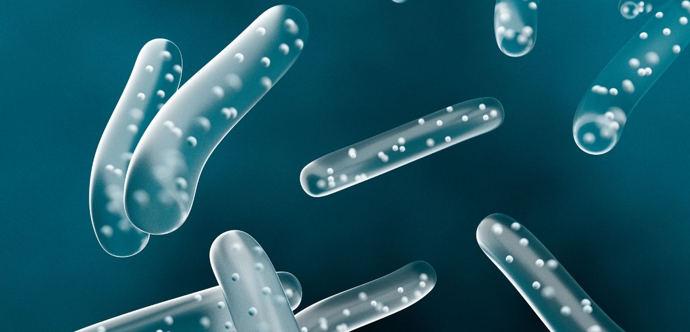 Synbiotyk a probiotyk – czym się różnią?